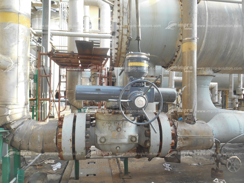 Valve automation and flow control