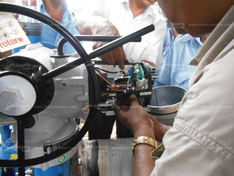 Rotork actuator supply and installation support